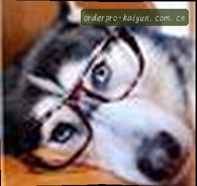 陈磊